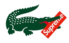 至尊鳄鱼，Supreme 将携手 Lacoste 推出联名系列