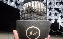 Fragment 盆栽盆，值得拥有？