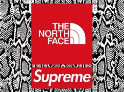 Supreme x THE NORTH FACE 可能还有一波“蛇鳞纹”设计！