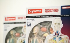 Supreme 本季人体解剖模型单品大有来头？