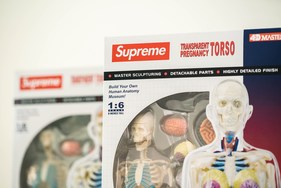 Supreme 本季人体解剖模型单品大有来头？