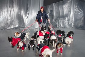 Moncler 与 Poldo Dog Couture 为宠物狗推出奢华羽绒外套