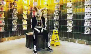 Fxxking Rabbits x POPCORN SUPPLY 期间限定店登陆香港