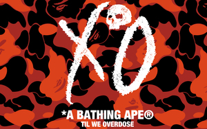 黑红迷彩图案！BAPE® 与 The Weeknd 个人品牌 XO 再度推出联名系列