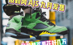 以前想买要花好几万！俄勒冈 AJ 5 九月发售！