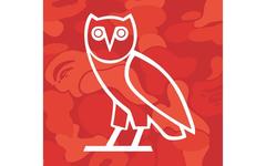 当猿人遇上猫头鹰！OVO x A BATHING APE 全新联乘单品曝光！
