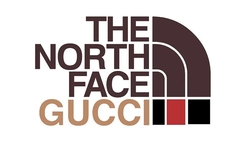 抽签登记开启！THE NORTH FACE x GUCCI 联名系列正式发布！