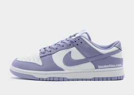 这款配色清新感爆棚！全新 Nike Dunk Low 即将发布！