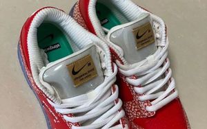 密恐犯了？Stingwater x Nike SB Dunk Low 更多细节曝光！