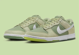 全新 Nike Dunk Low  官图曝光！