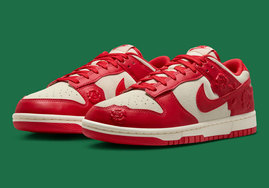 全新 Nike Dunk Low  曝光！