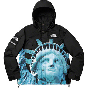 Supreme 19秋冬supreme/the north face statue of liberty mountain jacket