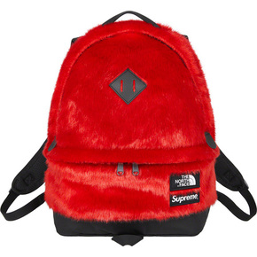 Supreme 20fw supreme/the north face faux fur backpack
