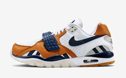 NIKE AIR TRAINER SC II Low