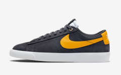 NIKE SB Blazer Low GT