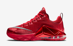 NIKE LEBRON XII LOW