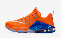 NIKE LEBRON XII LOW