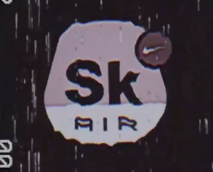 Skepta-x-Nike-Air-Max-Deluxe-2.png