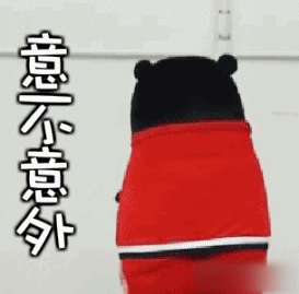 熊本熊2.gif