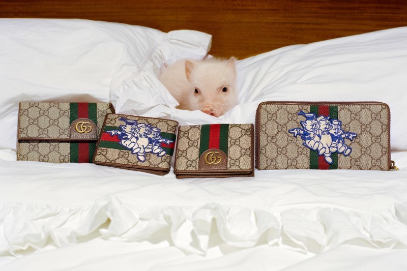Gucci ææ° 2019 è±¬å¹´å¥æ³¨ç³»åæ­£å¼ç»å&nbsp;´