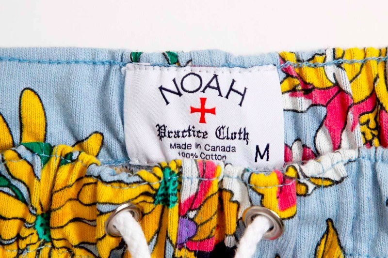 NOAH 2019 æ¥å¤è±ååæ¡ç³»åä¸æ¶