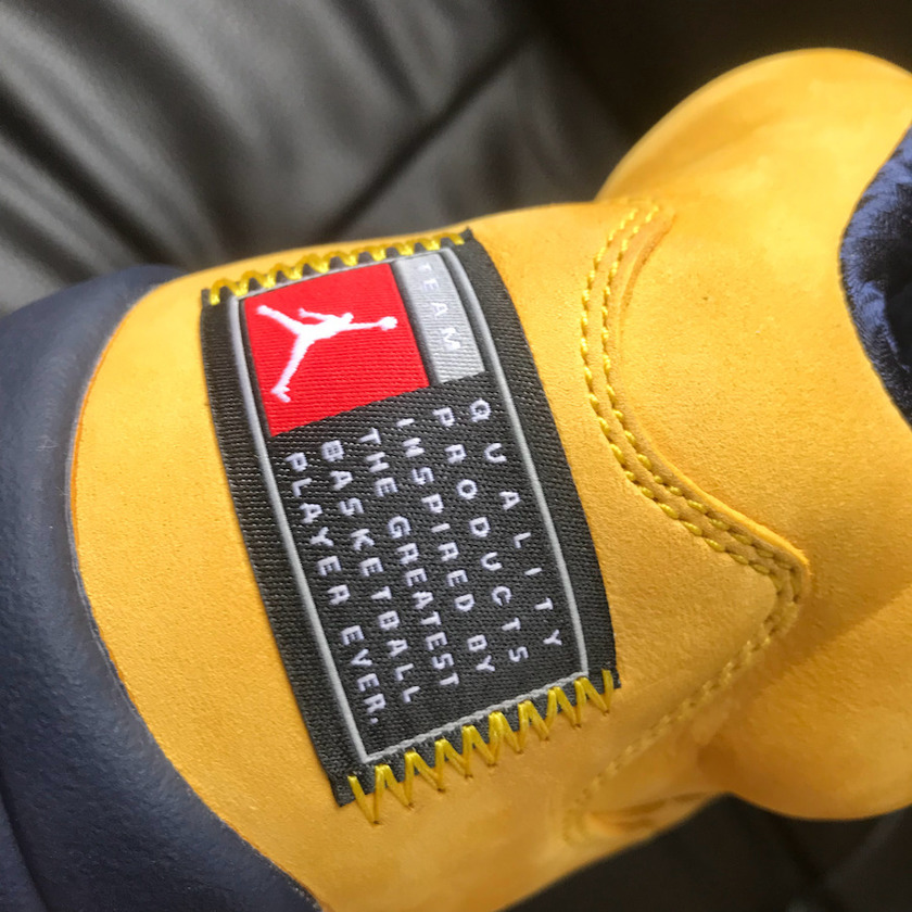 Air Jordan 5 Michigan Inspire CQ9541-704å叿¥æ