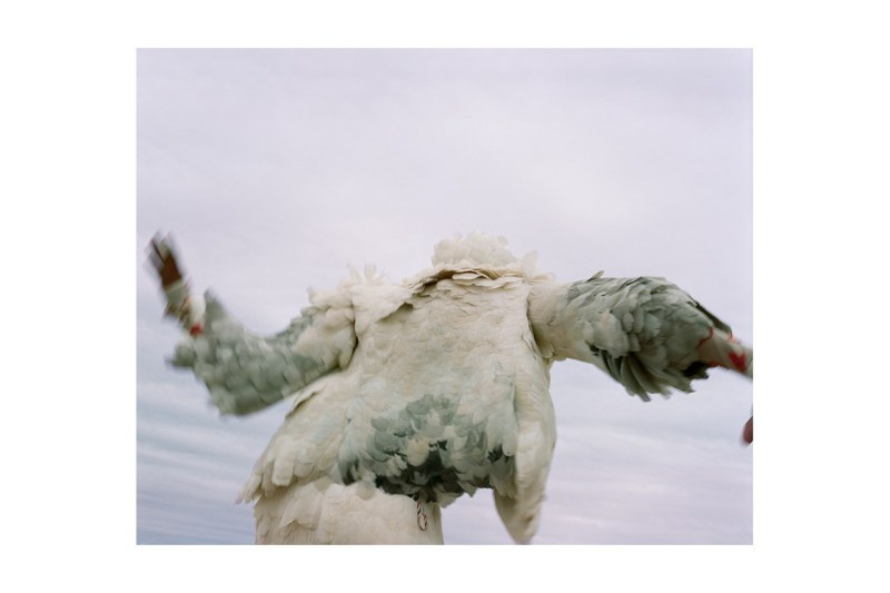 Thom Browne å¨æ°æµ·çä¸»é¡ç³»åé åç¹è¼¯