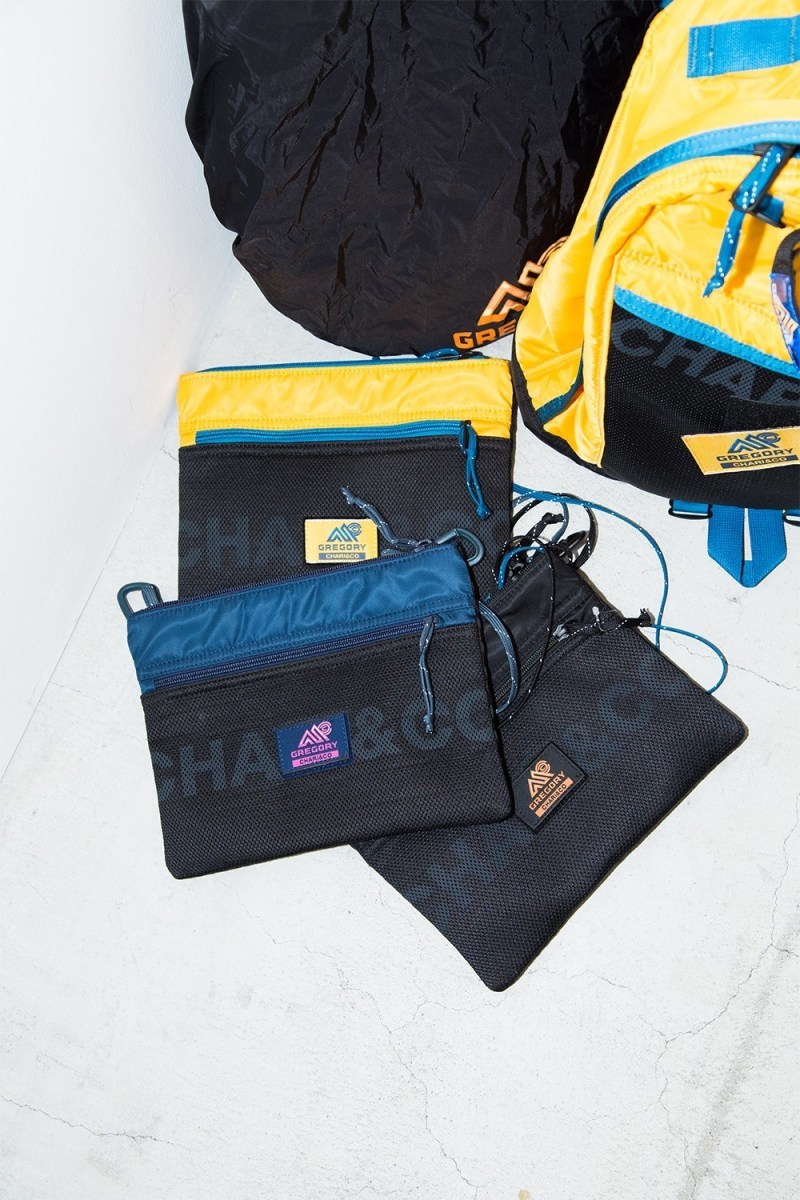 GREGORY x CHARIï¼CO x BEAMS ä¸æ¹è¯åä¼åç»å ´