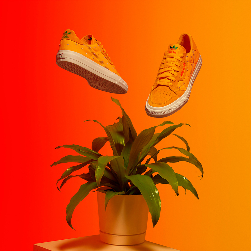 AriZonaå°è¶adidas Continental Vulcå叿¥æä»·æ ¼