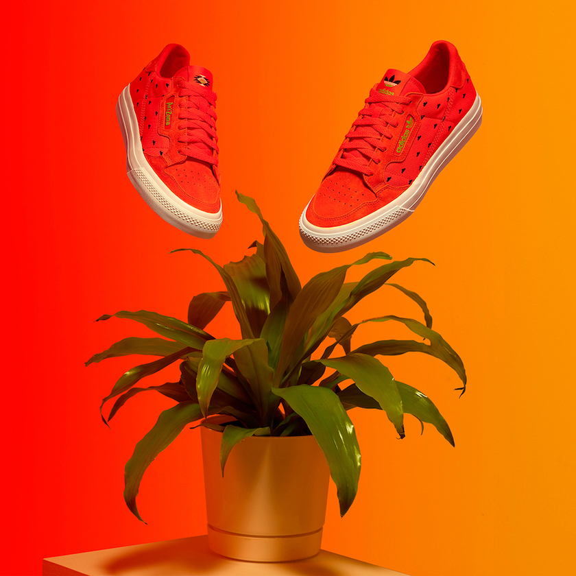 AriZonaå°è¶adidas Continental Vulcå叿¥æä»·æ ¼