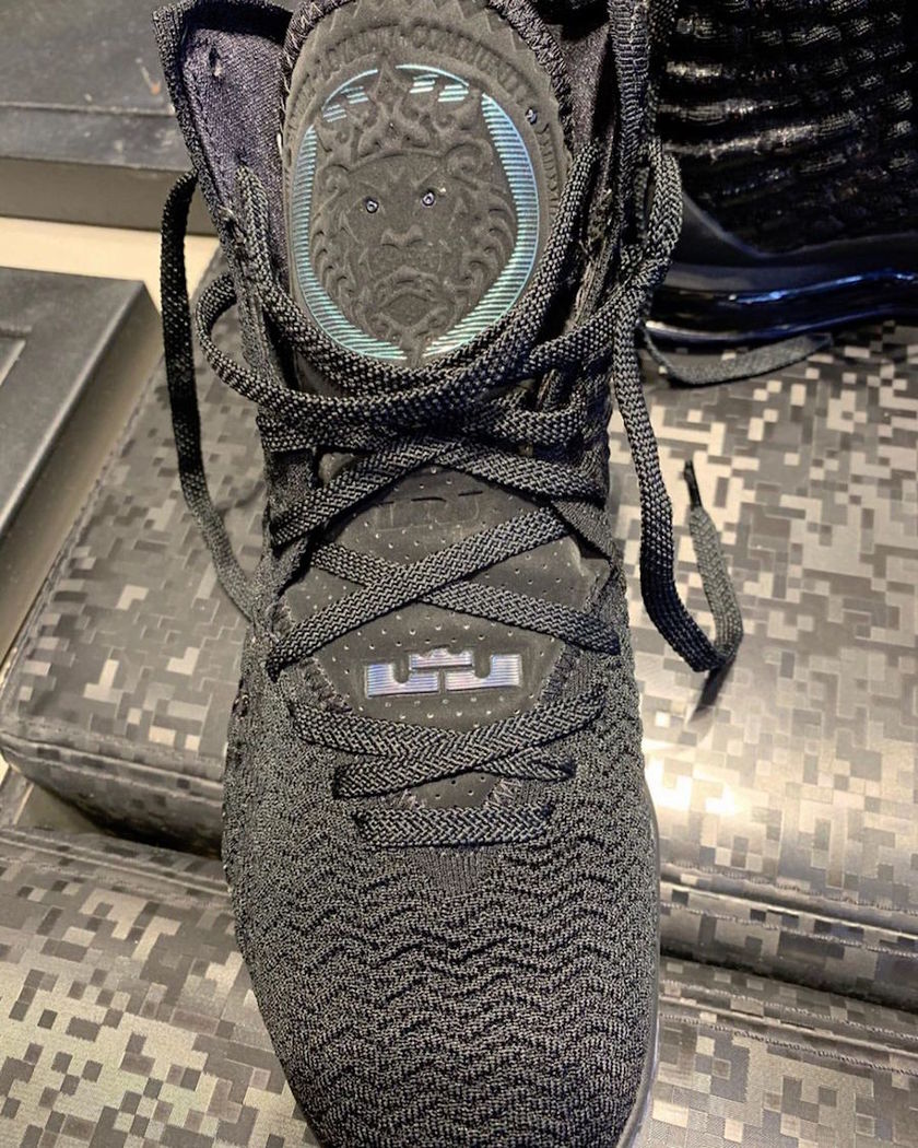 Nike LeBron 17è´§å¸å叿¥æ