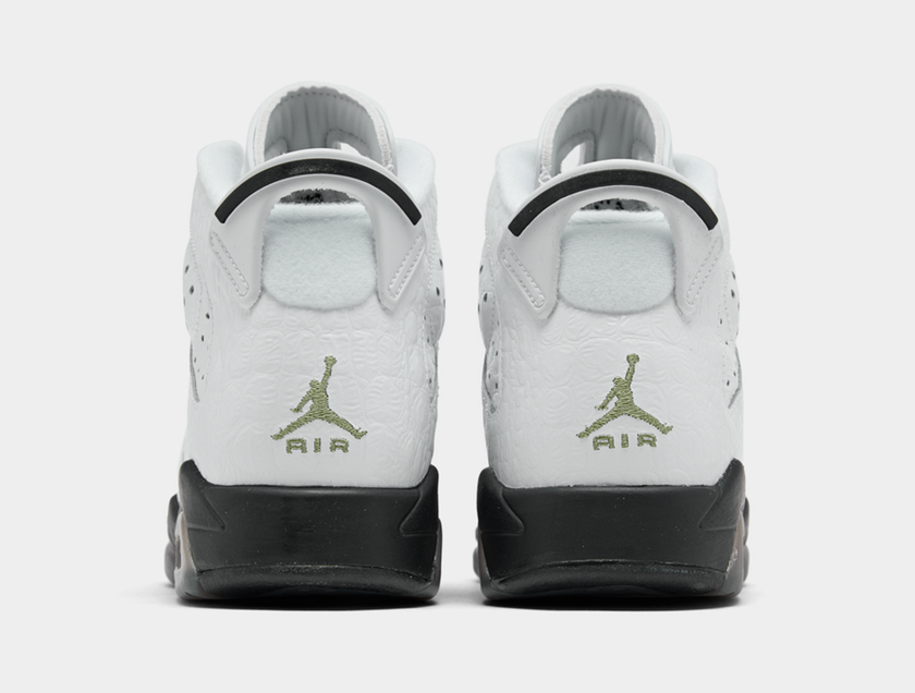 Air Jordan 6 GS Alligator 384665-110åå:registered:æ¥æ