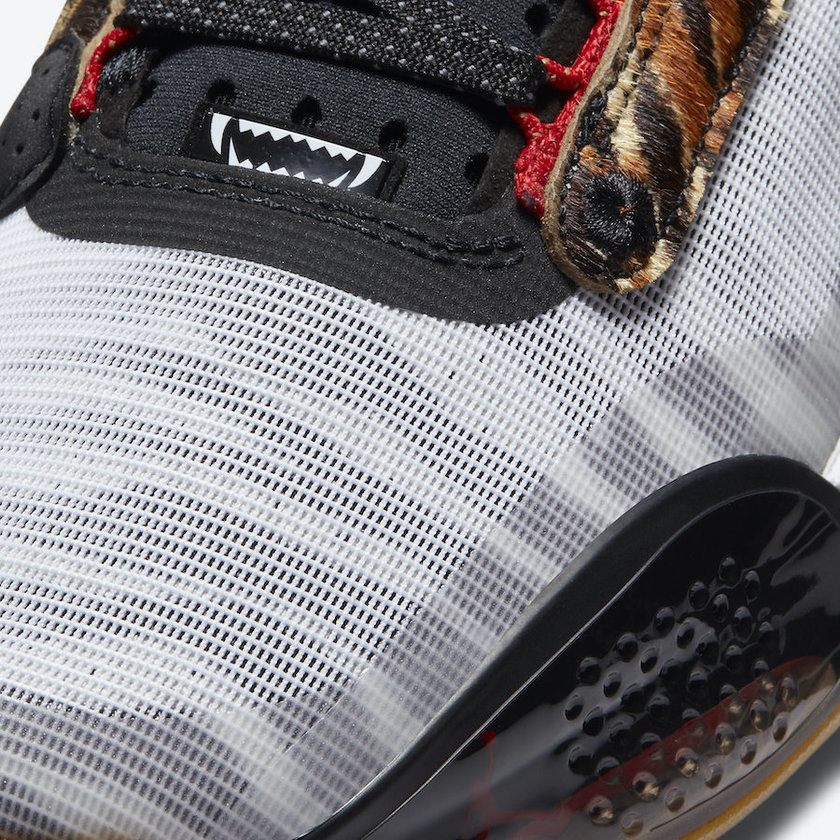 Jayson Tatum Air Jordan 34æ¬¢è¿æ¥å°Zoo PE DA1900-900åå:registered:æ¥æ