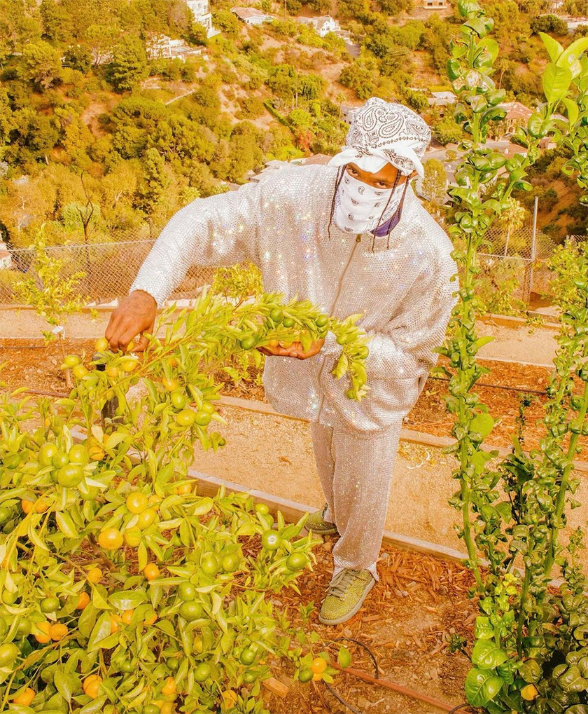 ä»äººææ¤ç:copyright:è·³è¤å¸åºCPFM Nike Dunk Low Spiral Sage CZ2670-300åå:registered:æ¥æ