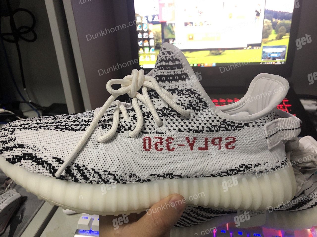 CP9654(2018)椰子350白斑马18年款