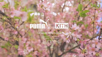 Ronnie Fieg x UNITED ARROWS & SONS x PUMA “Sakura Project” 现场回顾